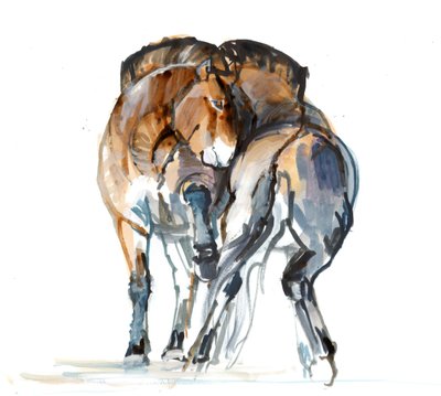 Krachtdans (Przewalski), 2013 door Mark Adlington