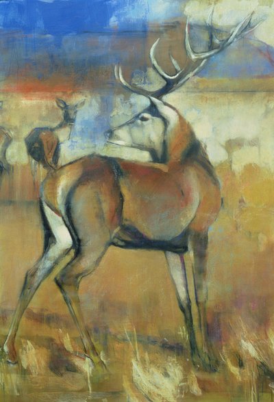Rode Hert, uit Verzameling Herten (detail) door Mark Adlington