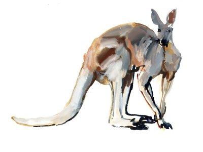 Roo (Rode Kangoeroe) door Mark Adlington