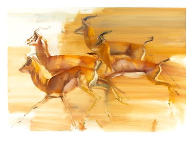 Rennende Gazellen, 2010 door Mark Adlington