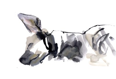 Slapende hyena, 2010 door Mark Adlington