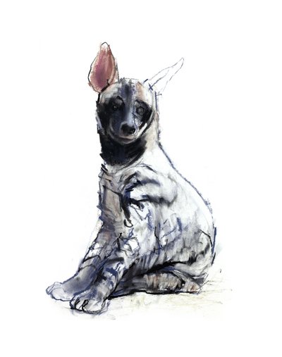 Gestreepte Hyena Pup (zittend), 2010 door Mark Adlington