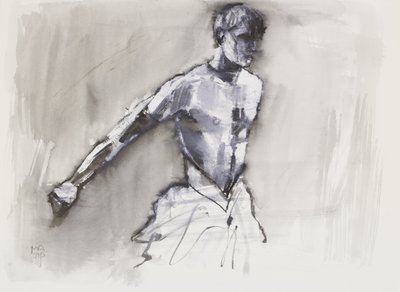 Zwanenmeer door Mark Adlington