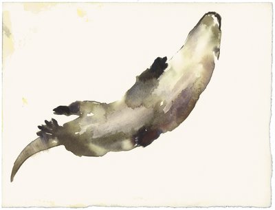 Zwemmen Boven door Mark Adlington