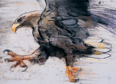 Klauwen - Witte zeearend, 2001 door Mark Adlington