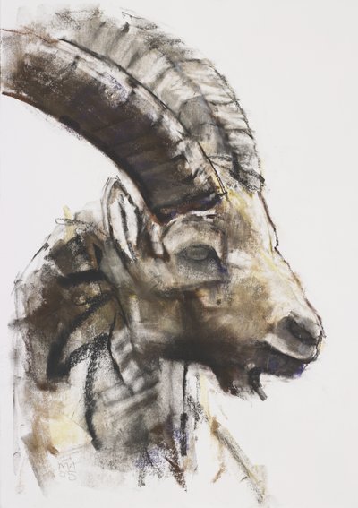Testa, 2005 door Mark Adlington