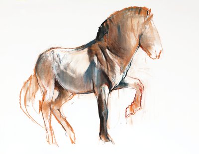 Draaiend (Przewalski) door Mark Adlington
