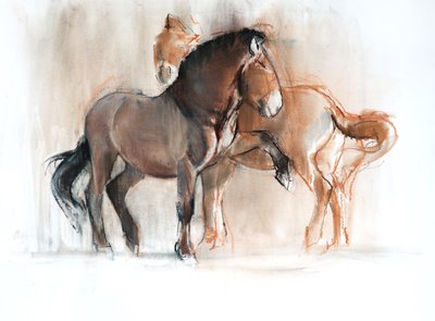 Twee (Przewalski) door Mark Adlington
