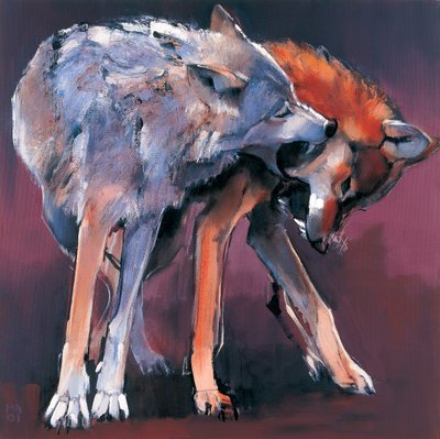 Twee wolven door Mark Adlington