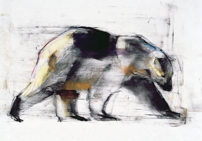 Ursus Maritimus, 1999 door Mark Adlington