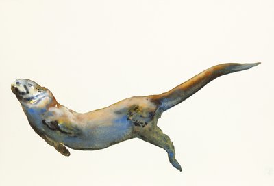 Fluweel, 2014 door Mark Adlington