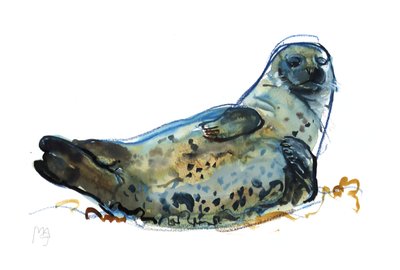 Westcove zeehond door Mark Adlington