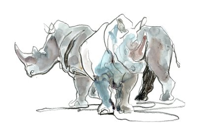 Witte Neushoorns, Mount Etjo door Mark Adlington