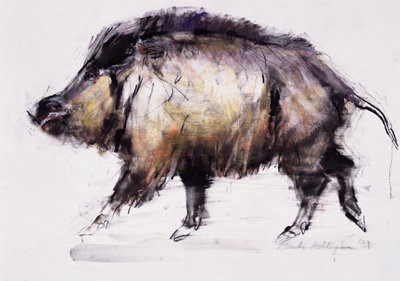 Wild Zwijn, 1999 door Mark Adlington