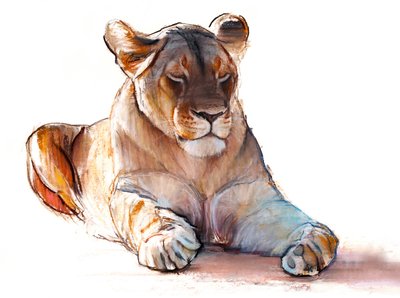 Yogi leeuwin, 2019 door Mark Adlington