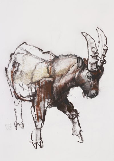 Jonge steenbok, Gran Paradiso, 2005 door Mark Adlington