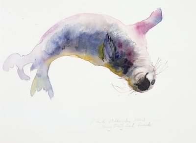 Jonge grijze zeehond, Gweek, 2003 door Mark Adlington