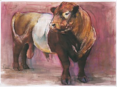 Zeus, Red Belted Galloway Bull, 2006 door Mark Adlington