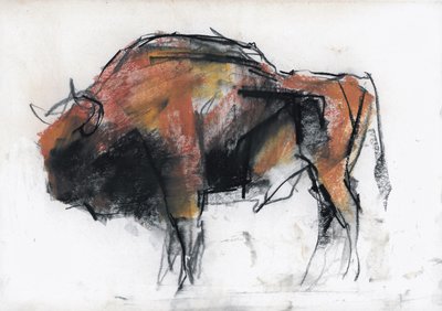 Zubre, Bialowieza door Mark Adlington
