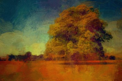 De hele zomer op een dag (gemengde techniek) door Mark Gordon