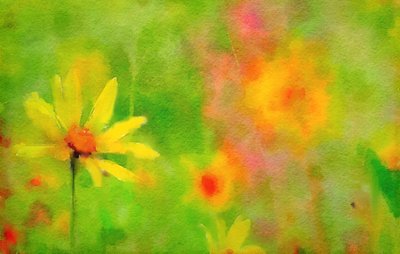 na de regen, een zomerse dag door Mark Gordon