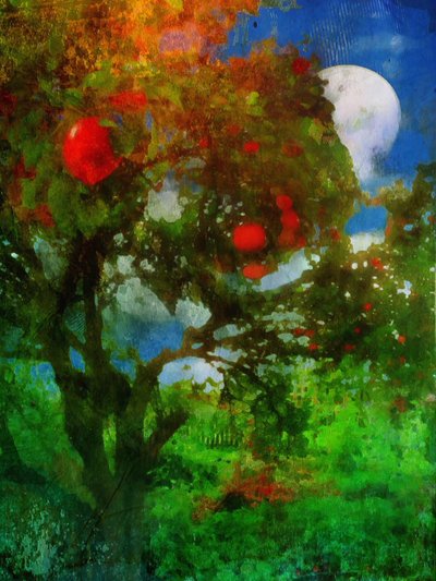 boomgaard in maanlicht door Mark Gordon