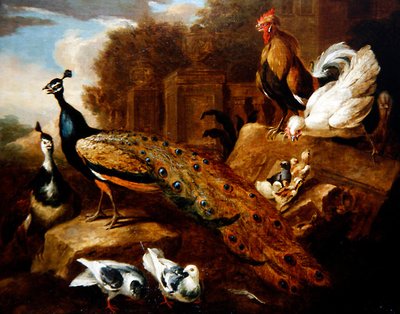 Pauwen, Duiven en Andere Vogels en een Klassiek Gebouw door Marmaduke (attr. to) Cradock