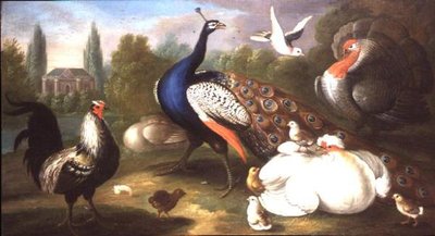 Een Pauw, Kalkoen, Hen, Haan en Duif bij een Rivier door Marmaduke Craddock