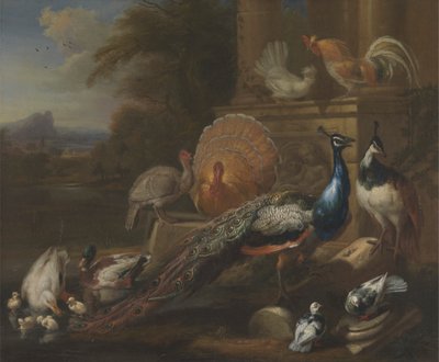 Pauwen, Duiven, Kalkoenen, Kippen en Eenden bij een Klassieke Ruïne door Marmaduke Cradock