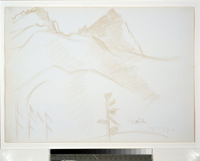 Berglandschap met Pijnbomen door Marsden Hartley