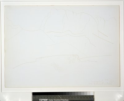 Berglandschap met bomen door Marsden Hartley