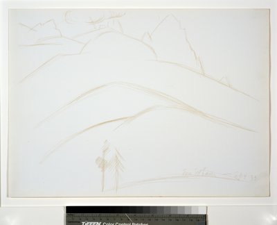 Berglandschap met twee dennenbomen door Marsden Hartley