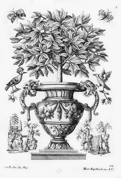 Citrusbomen, ca. 1735 door Martin Engelbrecht