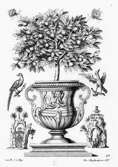 Citrusbomen, ca. 1735 door Martin Engelbrecht