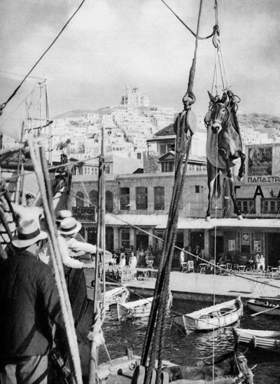 Het verschepen van muilezels, Syros Eiland, Griekenland, 1937 door Martin Hurlimann
