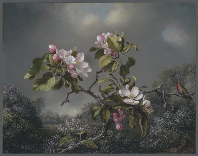 Appelbloesems en kolibrie, 1871 door Martin Johnson Heade