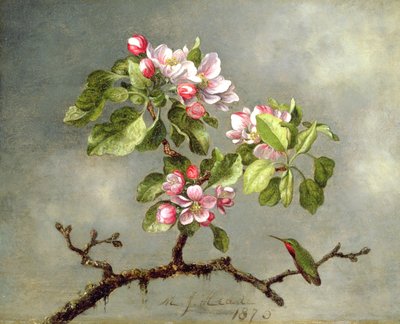 Appelbloesems en een kolibrie door Martin Johnson Heade