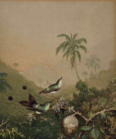 Braziliaanse Kolibries II, ca. 1864-1865 door Martin Johnson Heade
