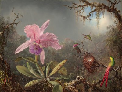Cattleya Orchidee en Drie Kolibries door Martin Johnson Heade