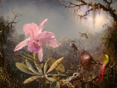 Cattleya-orchidee en drie kolibries door Martin Johnson Heade