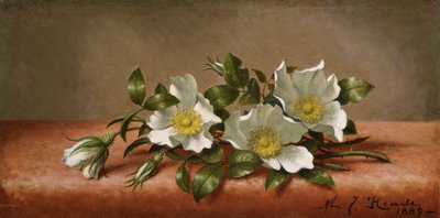 Cherokee Rozen door Martin Johnson Heade