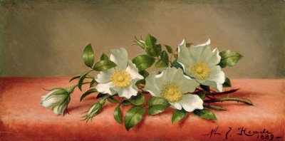 Cherokee Rozen, 1889 door Martin Johnson Heade