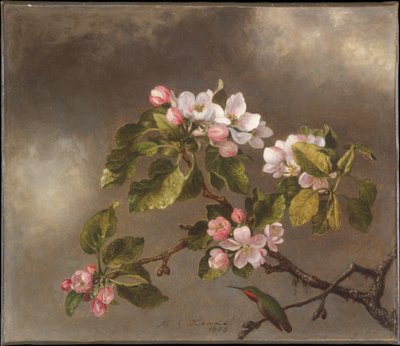 Kolibrie en appelbloesems door Martin Johnson Heade