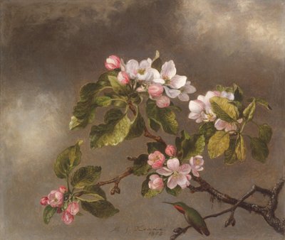 Kolibrie en Appelbloesems door Martin Johnson Heade