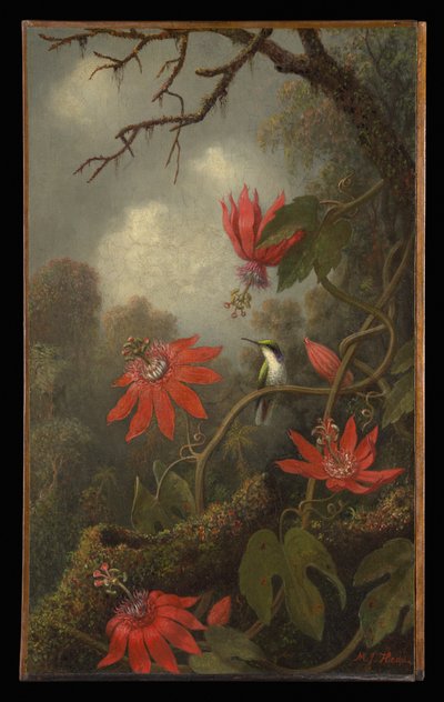 Kolibrie en passiebloemen door Martin Johnson Heade