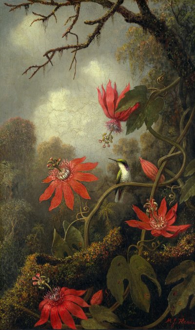 Kolibrie en Passiebloemen door Martin Johnson Heade