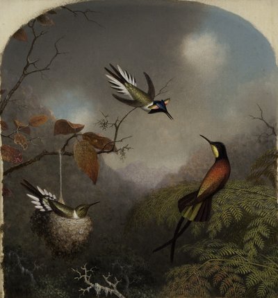 Kolibries: Twee zonjuwelen en een karmozijnrode topaas, 1866 door Martin Johnson Heade