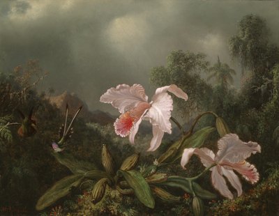 Jungle orchideeën en kolibries, 1872 door Martin Johnson Heade