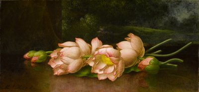 Lotusbloemen: Een Landschapsschilderij op de Achtergrond, ca. 1885-1900 door Martin Johnson Heade