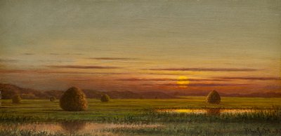 Moerasland door Martin Johnson Heade